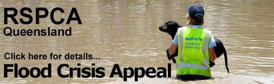 RSPCA QLD Flood Crisis Appeal